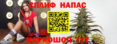 герыч Кингисепп