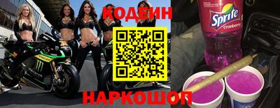 герыч Кингисепп