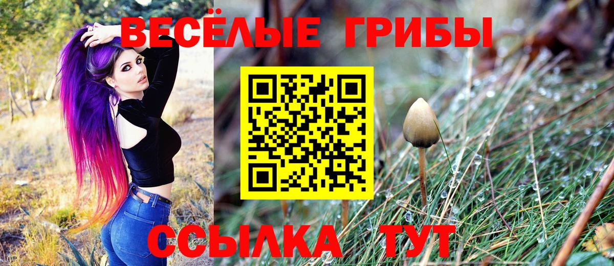 Псилоцибиновые грибы Psilocybine cubensis Курчатов